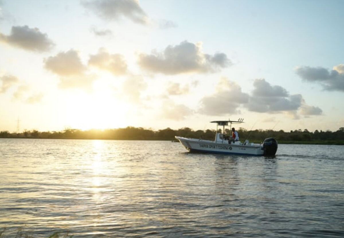 Mercury SeaPro_75_150hp